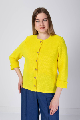 Жакет Ш485 308_желтый ЧИП Ш485 308_желтый ЧИП