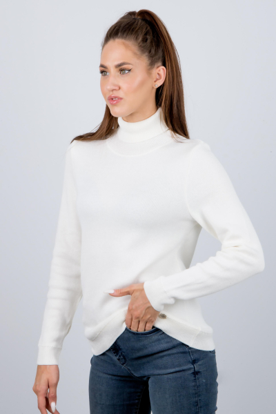 водолазка Ш339 10 Ш339 10