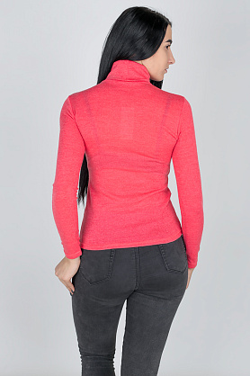 водолазка Л2046*30 нежность коралл
Л2046*30 нежность коралл