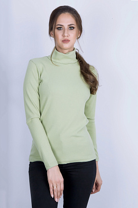 водолазка л2046 узкая лапша фисташка
л2046 узкая лапша фисташка